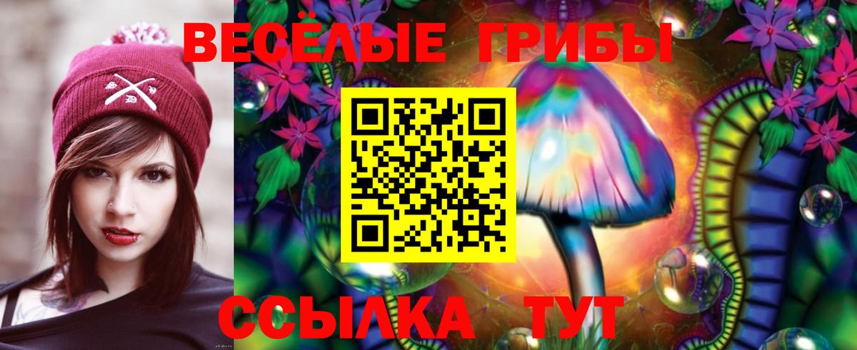 Омск  Псилоцибиновые грибы GOLDEN TEACHER  Вход с VPN  Галлюциногенные грибы мухоморы 